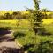 The Chilterns View