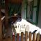 Appartamenti Chalet Orchidea
