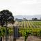 Hounds Run Vineyard - Tiny House in the Grampians - Great Western