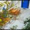 The Arabesque House