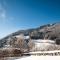 Birnbaum Chalet Kreuzkogel mit Naturbadesee und eingezäunten Garten - Grossarl