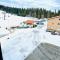 Ferienwohnung "Residenz Seebuck" direkt an der Skipiste, Ski in & Ski out am Feldberg!