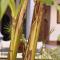 Riad Les Jardins dHenia
