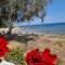 Hana Holiday Beach Apartment 1