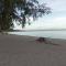 Leu doux bruit des vagues