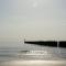 Tiny Zen House in Heinkenszand with private sauna, airco, outdoor swimming pool, WiFi and 2 bedrooms