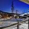 Chalets Alpins- 42 Chemin des Skieurs - ستونهارم