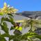 Finca Exclusiv LA MAreta