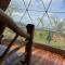 Refugio del Bosque CABAÑAS Y GLAMPING - Guácimo