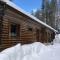 Logcabin, sauna, fireplace, view, kitchen - 易拉斯加威