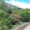 Maison du Caroux, with a pool with an amazing view - Saint-Martin-de-lʼArçon