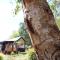 Libelle - Peaceful, Secluded Luxury with abundant wildlife and seasonal water views, on 3 private acres IN Daylesford