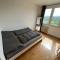 Private room in a shared park-side apartment with a great connection to the city center - Prága