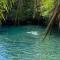 Turaco Homestay