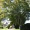 The Rectory Lacock - Boutique Bed and Breakfast