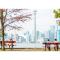 Lovely Leslieville, exploring nature in the city