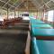 Madu Tiga Beach and Resort - 丹戎槟榔