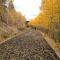 Leadvilles Copper Top Getaway