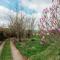 Robin Nest - Cosy Shepherd's Hut Hideaway - Callington