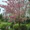 B&B Dersum Dream