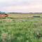 Wild Wetlands Lodge
