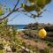 Apiliotis sunrise beach villa - Ligaridia