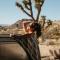 Shelter 1- A Classic- At Joshua Tree Park Entrance - Joshua Tree