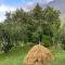 Emotion Kazbegi
