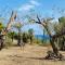 LUXURY Villa Vittorianna Etna- Taormina & Seaview with Pool