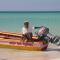 Relax in Paradise, Indikanegril