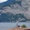 MariGarda Apartments - Assenza di Brenzone