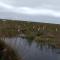 Wild Wetlands Lodge