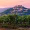 Luxury Villa Cypress Hill - Happy Rentals - Motovun