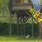 CAMPING LES EMBRUNS 3*