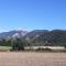 Can Fuster - Pedra