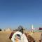 Pyra Hospitality West Pyramids Cairo - 开罗
