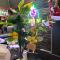 Lemonap Hostel