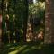 Forest Hotel