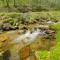 Creekside Cabin with Deck by Hiking Trails and Fishing - Whittier