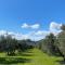 Au pied des Alpilles