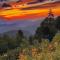 Movie Theater in the Mountains! - Tuckasegee