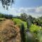 Glamping Entre Nopales, Villa de Leyva