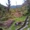 Pastoral Hills Homestay
