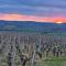 Longère Berrichonne au cœur des vignes - Menetou-Salon