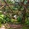 Apartment Il Montano by Interhome