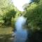 River Cottage a country retreat in wooded gardens - East Stoke