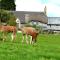 Idyllic Dartmoor Cottage