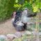 Ferme Sidi Safou & Spa - 马拉喀什