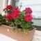 Izabella Guest House