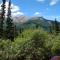 Denali Crows Nest Cabins